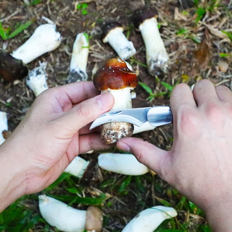 Coowolf Mushroom Knife with Brush and Sheath, Curved Stainless Steel Blade, Hardwood Handle, 7.1 Inch Folding Design, for Morels, Porcini, Chanterelles, Foraging Mushroom Gifts - Image 3